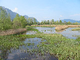 Lones sur le Rhône