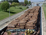 Convoi poussé de bois